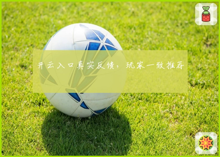 开云入口真实反馈，玩家一致推荐