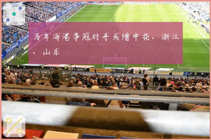 马年海港争冠对手或增申花、浙江、山东